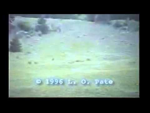 Youtube: The Pate Bigfoot film (AKA the Memorial Day footage)