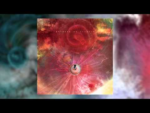 Youtube: ANIMALS AS LEADERS - The Woven Web
