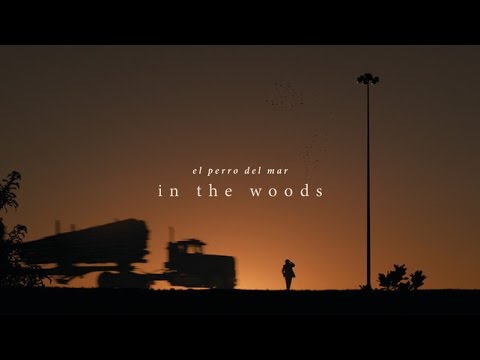 Youtube: El Perro Del Mar - "In The Woods"(Official Video)