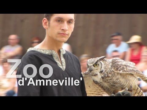 Youtube: Greifvogelshow - Hoch zu Roß im  Zoo d' Amneville Frankreich