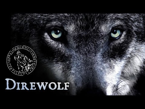 Youtube: Paleowolf - Direwolf (prehistoric tribal ambient)