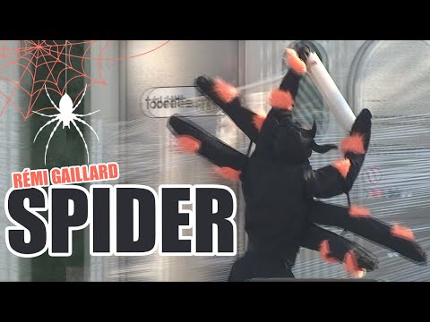 Youtube: SPIDER PRANK (REMI GAILLARD) 🕷️