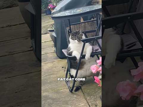 Youtube: fat cat core