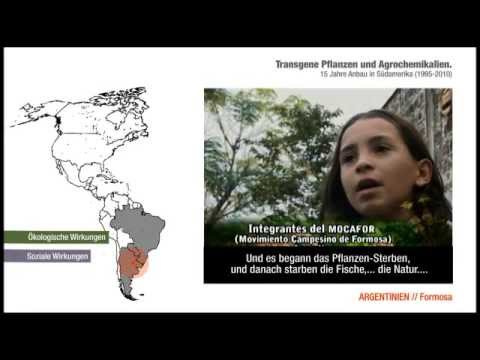 Youtube: Transgene Pflanzen und Agrochemikalien