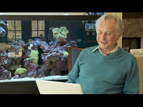 Youtube: Love Letters to Richard Dawkins