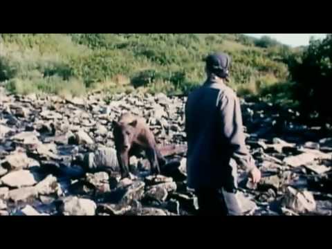 Youtube: Grizzly Man Trailer HD