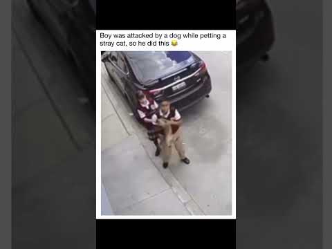 Youtube: I don’t like how he threw the cat, but I like how kitty knew what to do!!🥲😂