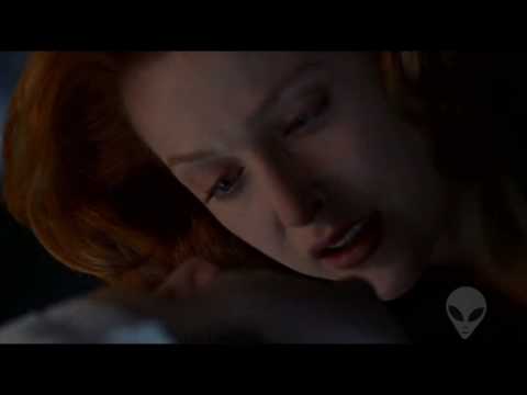 Youtube: THE X FILES | SEDECIM EXTENCTION