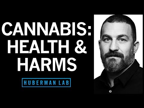 Youtube: The Effects of Cannabis (Marijuana) on the Brain & Body | Huberman Lab Podcast #92