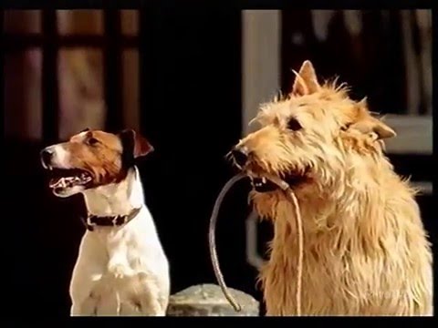 Youtube: Frolic Werbung Hundefutter 1993 - 2001