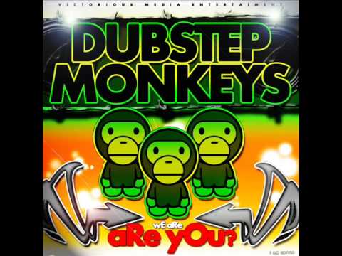 Youtube: Dubstep Monkeys - Monkey warfare