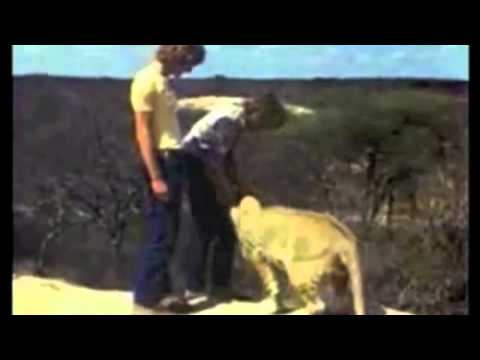 Youtube: ♥ ❤ ❥ ❣ ❦ ❧ Christian der Löwe ♥ Christian the Lion ❧❦ ❣ ❥ ❤ ♥