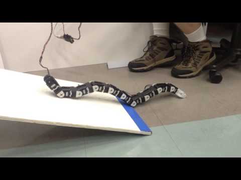 Youtube: Robotic Snake Overview