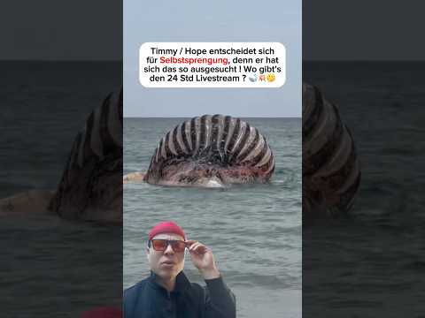 Youtube: Wal Timmy / Hope wird gesprengt !