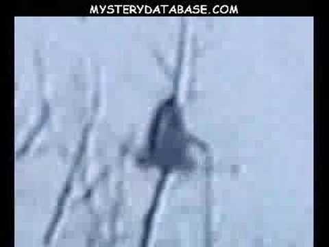 Youtube: Snow walker bigfoot footage