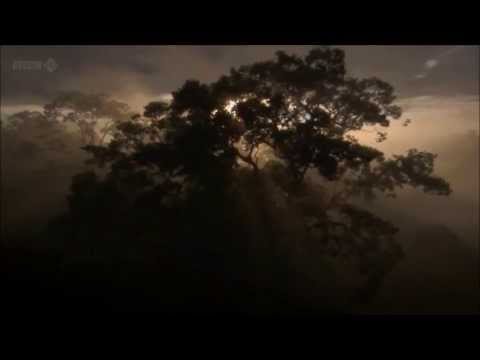 Youtube: Breezewax - Climb ft. Thomas Prime and Mark Meronek (2012)