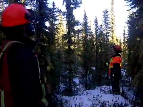 Youtube: Strange sounds in Conklin, Alberta Jan. 12/2012