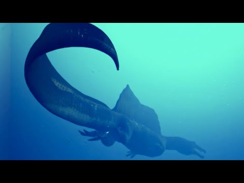 Youtube: The Tail of Spinosaurus - A 2020 Revelation