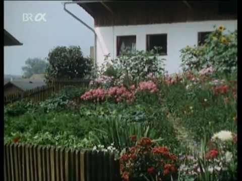 Youtube: Grün kaputt (Dieter Wieland, 1983)