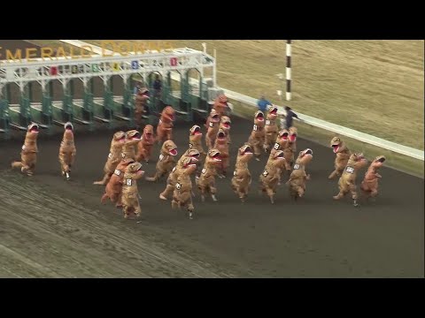 Youtube: VIDEO: Dinosaurs take the track in viral T-Rex races