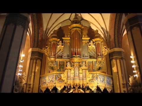 Youtube: R. Wagner - Lot Walkirii / Ritt der Walküren / Ride of the Valkyries - Frombork / Frauenburg