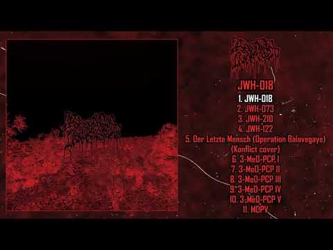 Youtube: Serotonin Leakage - JWH​ ​018 FULL ALBUM (2023 - Bestial Gorenoise)