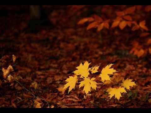 Youtube: Autumn Dream