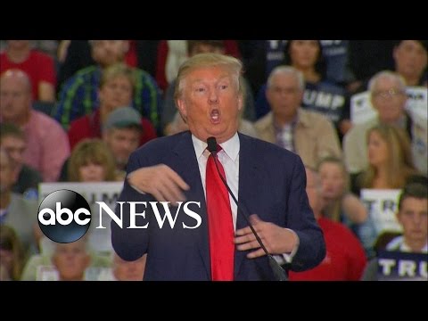 Youtube: Donald Trump Accused of Mocking Reporter with Disability