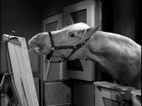 Youtube: Mister Ed: Seasons 1 & 2 - DVD Trailer