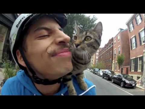 Youtube: My cat can still ride a bike better than you can