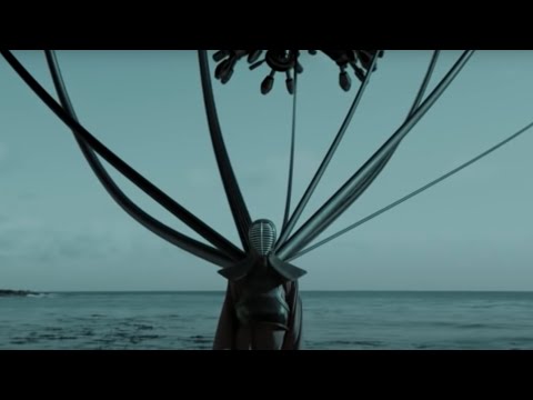 Youtube: Paul van Dyk - The Ocean (Official Video)