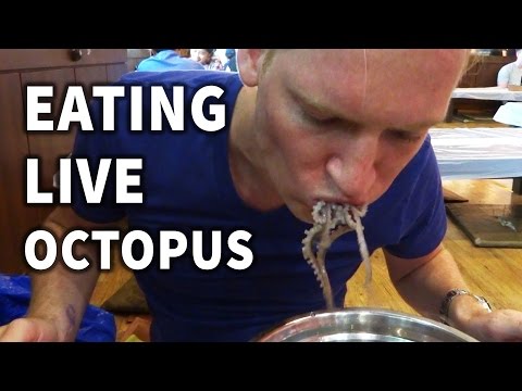 Youtube: Eating Live Octopus in Korea