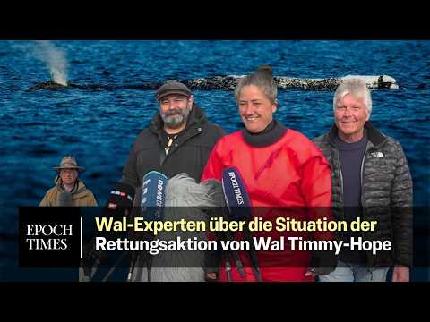 Youtube: Internationale Wal-Experten über Hope: „Außergewöhnliche Aktion“ und „Tier mit starkem Lebenswillen“