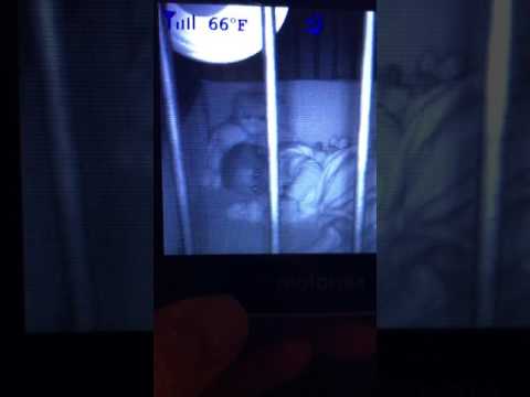 Youtube: Teddy Bear Moves in Baby Crib
