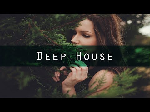 Youtube: Panski - In The Air Tonight (feat. Dana Kelson) [Deep House]