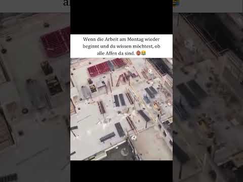 Youtube: 😂, wie auch sonst. #life #meme #viral #work