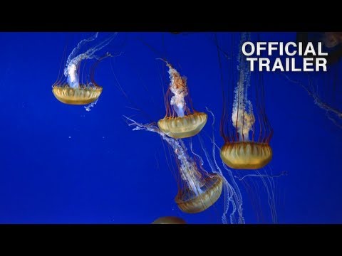Youtube: THE LIVING SEA Official Movie Trailer for IMAX underwater film featuring music by Sting
