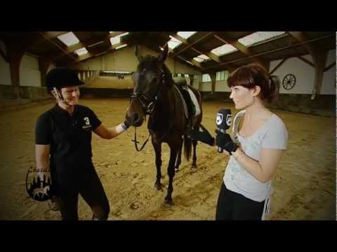 Youtube: Loesdau Lessons: Basics mit Kati: Richtig auf das Pferd aufsteigen