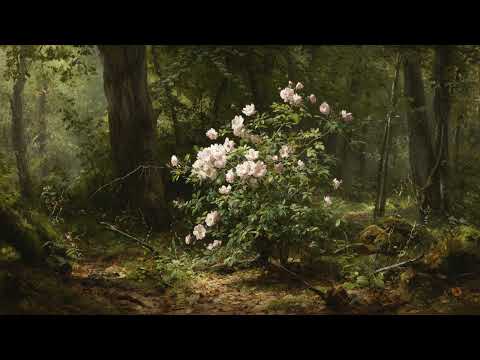 Youtube: Deutsche Dichterseele - Heidenröslein (Johann Wolfgang von Goethe)