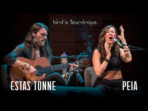 Youtube: Bird's Teardrops || Estas Tonne feat. Peia || Ashland, Oregon 2018