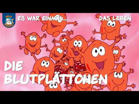 Youtube: Die Blutplättchen (Es war einmal... das Leben | Ausschnitt)