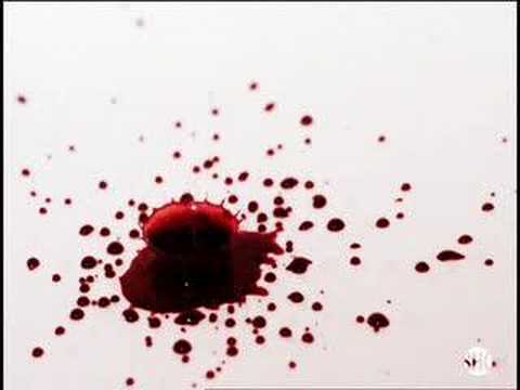 Youtube: Dexter: Pig's Blood Music Video