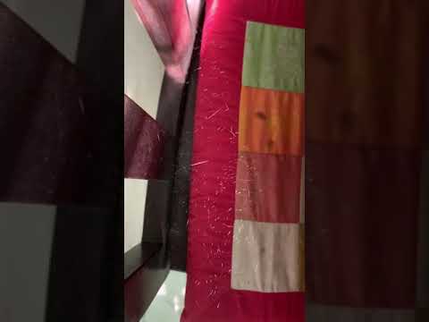 Youtube: Sparkling spider web under sunlight like Christmas lights