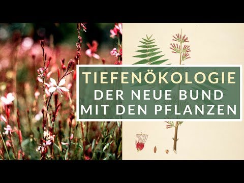 Youtube: Tiefenökologie - Der Neue Bund mit den Pflanzen