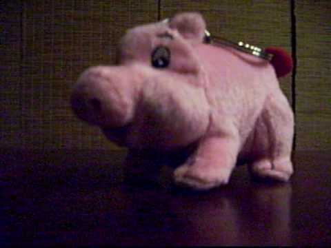 Youtube: Das freakyge Glücksschwein / The freaky pig