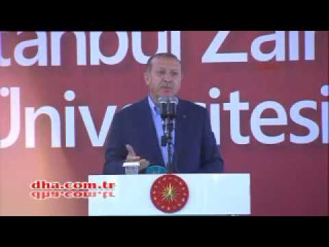Youtube: Cumhurbaşkanı Erdoğan, Cem Özdemir'in 'Türklüğü' için kan testi istedi