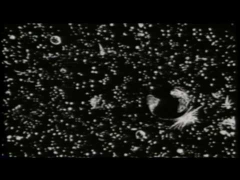 Youtube: KMFDM - A Drug Against War ‌‌ - Bohemia Afterdark