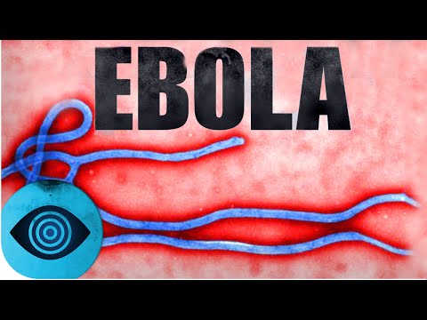 Youtube: Ebola - vom Menschen geschaffen?