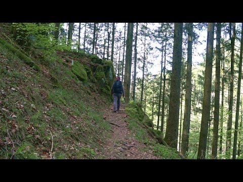 Youtube: Todtmoos bis Wehr / Schluchtensteig Etappe 6