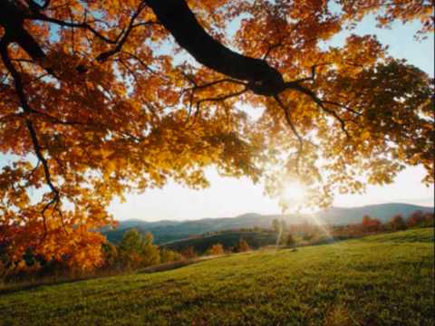 Youtube: Rio Reiser Herbst